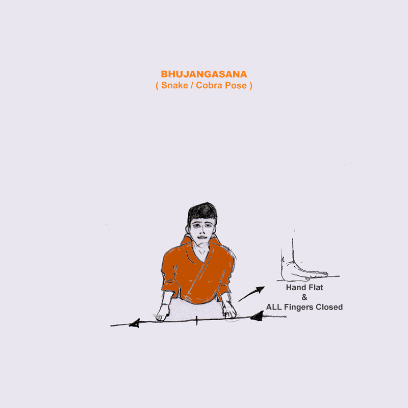 Yoga Photo Meditation Dhyana Yoga Teacher Training