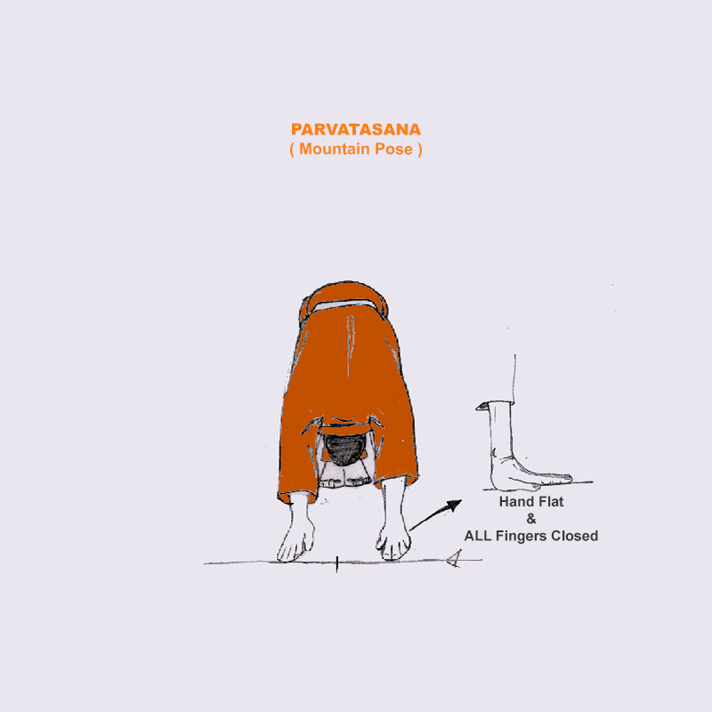 Yoga Photo Meditation Dhyana Yoga Teacher Training